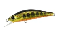 Воблер DUO Spearhead Ryuki 50S MCC4084 Gold Yamame - фото