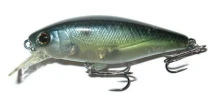 Воблер Jackall Chubble-SR 65F SK Sexy Shad фото