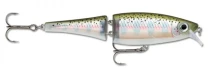Воблер Rapala BX Swimmer 120S BXS12 RT - фото