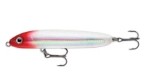 Воблер Rapala Skitter V 100F SKV10 RGH topwater фото