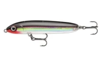 Воблер Rapala Skitter V 100F SKV10 S topwater фото