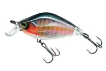 Воблер Yo-Zuri 3DR Flat Crank R1320-RBG фото