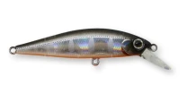 Воблер ZipBaits Rigge Flat 50S 916 фото