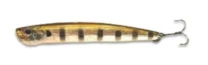 Воблер ZipBaits Skinny Pop 90F 509 6.2 г фото