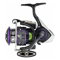 Поступления: спиннинги Daiwa Prorex XR, катушки Daiwa Prorex V LT