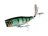 Jackall Chubby Popper