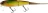 Jackall Flat Bone Clicer Jr