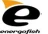 Леска Carp Expert