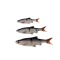 Силикон Savage Gear 3D LB Roach Swim n Jerk - фото 3