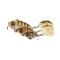 Блесна Savage Gear Fat Tail Spin - фото 2