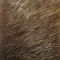 Хутро нутрії Sybai Nutria Body -Lighter Natural - фото 2