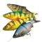 Силикон Savage Gear 4D Line Thru Roach 180SS - фото 2