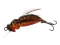 Воблер Azura Wasp 35F GNR036 - фото 1