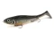 Воблер Rapala X-RAP Peto - фото 1
