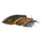 Воблер Savage Gear 3D Roach Jerkster - фото 1