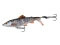 Воблер Savage Gear Smashtail - фото 1