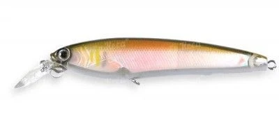 Воблер Yo-Zuri 3D Minnow-100 R725 AY фото