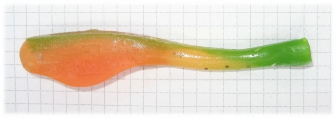 Rozemeijer Baby Cone Tail 11см 1шт #Fire Shad фото