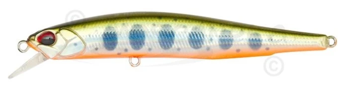 Воблер DUO Realis Minnow 80F  фото