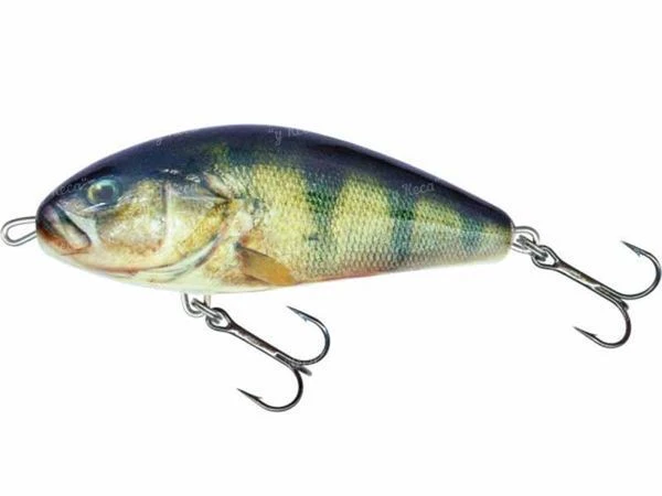 Воблер Salmo Fatso F10F RPH фото