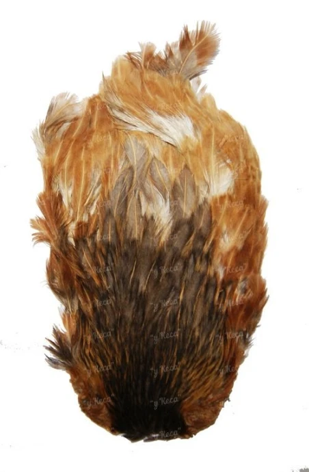 Скальп курицы Hends Hen Capes CH-14 фото