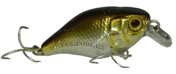 Воблер Jackall Chubby 38F Hl Shad  фото