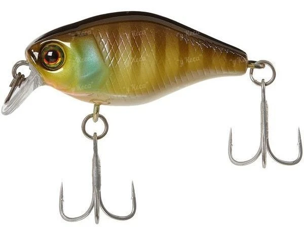 Воблер Jackall Chubby 38F Noike gill фото
