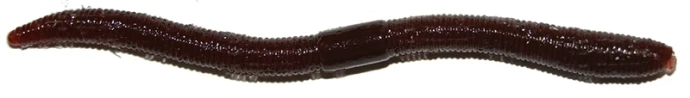 Jackall Flick Shake 2.8" Cola  фото