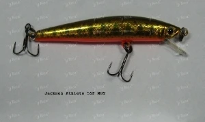 Воблер Jackson Athlete 55F MGY 5.5 см 2.5 м фото