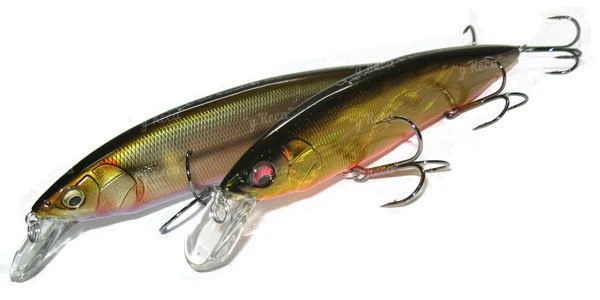 Воблер Megabass Kanata 160F фото