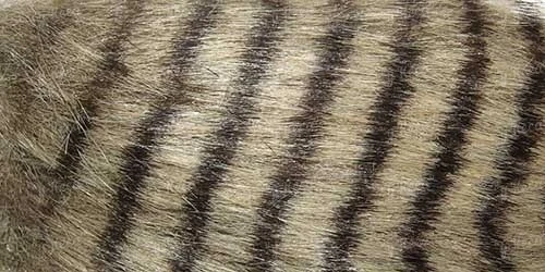 Мех искусственный Strike Furabou - Brown фото