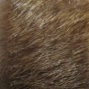 Хутро нутрії Sybai Nutria Body -Lighter Natural фото
