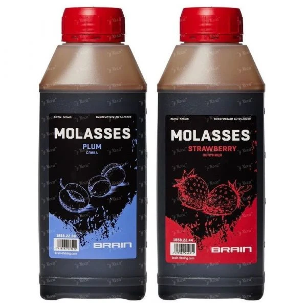Меласса Brain Molasses 500ml фото