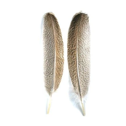 Перо индюка маховое Strike Mottled Turkey Quills Brown фото