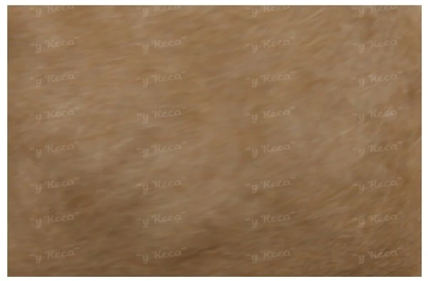 Даббинг Hends Muskrat Dubbing MR-33 фото
