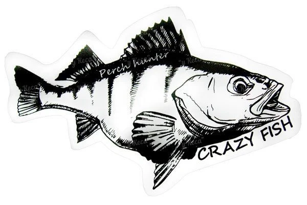 Наклейка Crazy Fish Rech Hunter 100*62мм черная на белом фото
