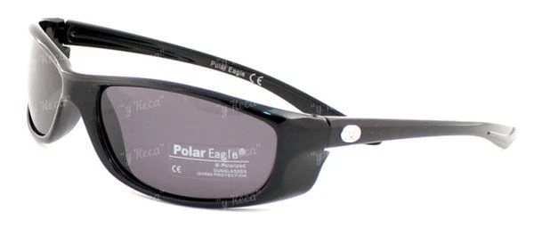 Очки Polar Eagle 205 c1 фото