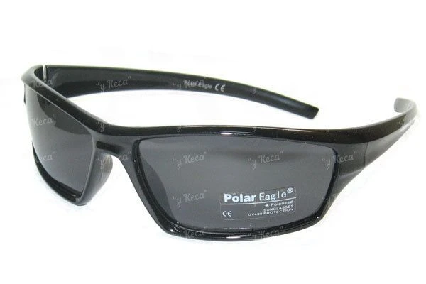 Очки Polar Eagle 509c1 фото