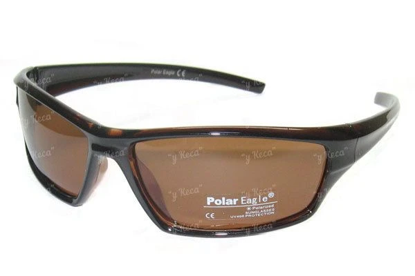 Очки Polar Eagle 509c3 фото