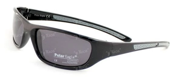 Очки Polar Eagle 530 c1 фото