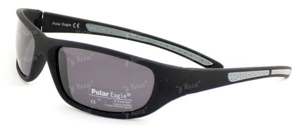 Очки Polar Eagle 530 c2 фото