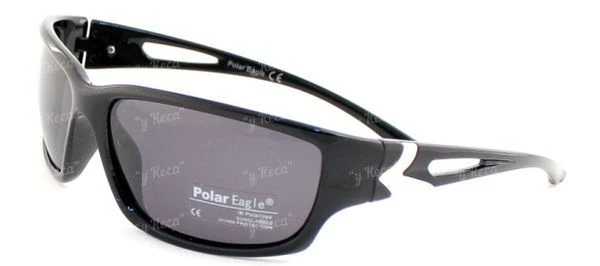 Очки Polar Eagle 539 c1  фото