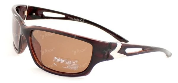Окуляри Polar Eagle 539 c3 фото