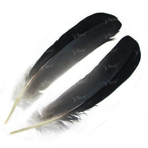 Перо цапли маховое Strike Heron Feathers - Natural фото