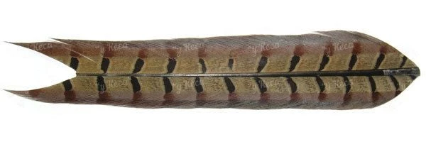 Перья фазана Hends Pheasant Tail PT-01 фото