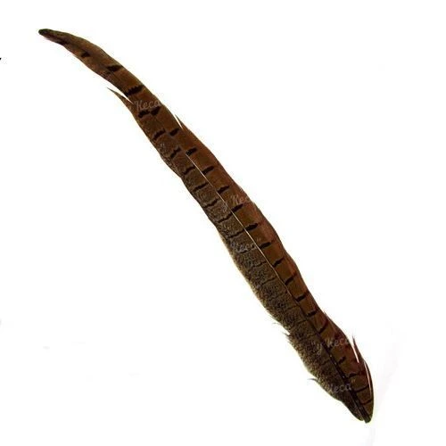 Пір'я фазана хвостове Strike Pheasant Tail - Natural фото