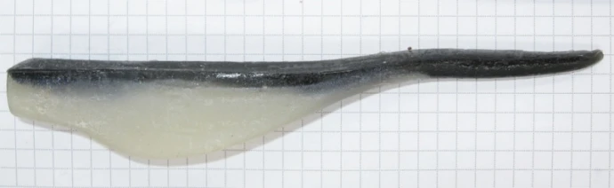 Rozemeijer Pin Tail 15см 1шт #Real Fish фото