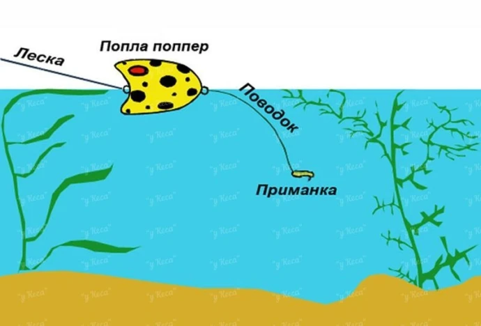 Поппер для красноперки фото
