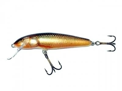 Воблер Salmo Minnow M6S RR фото