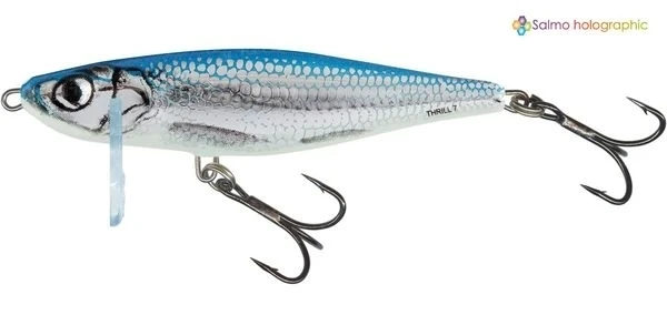 Воблер Salmo Thrill TH7 BF фото
